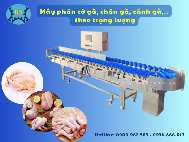 Máy phân cỡ gà