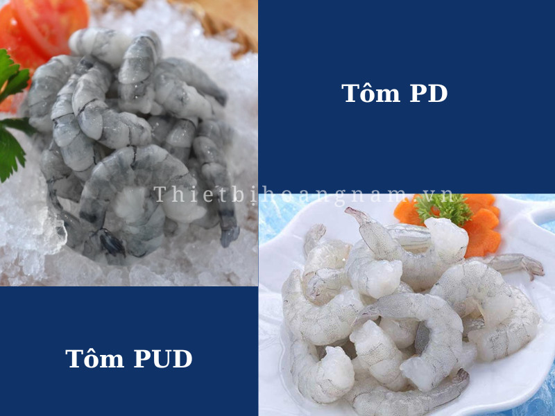tôm sú