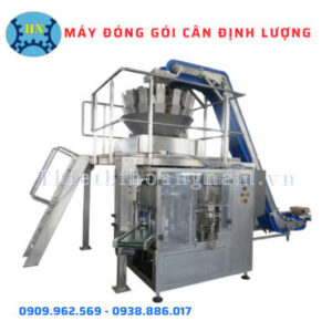 Máy đóng gói cân định lượng liên hợp