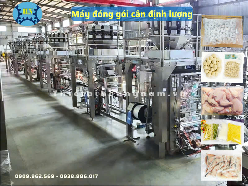Máy đóng gói cân định lượng
