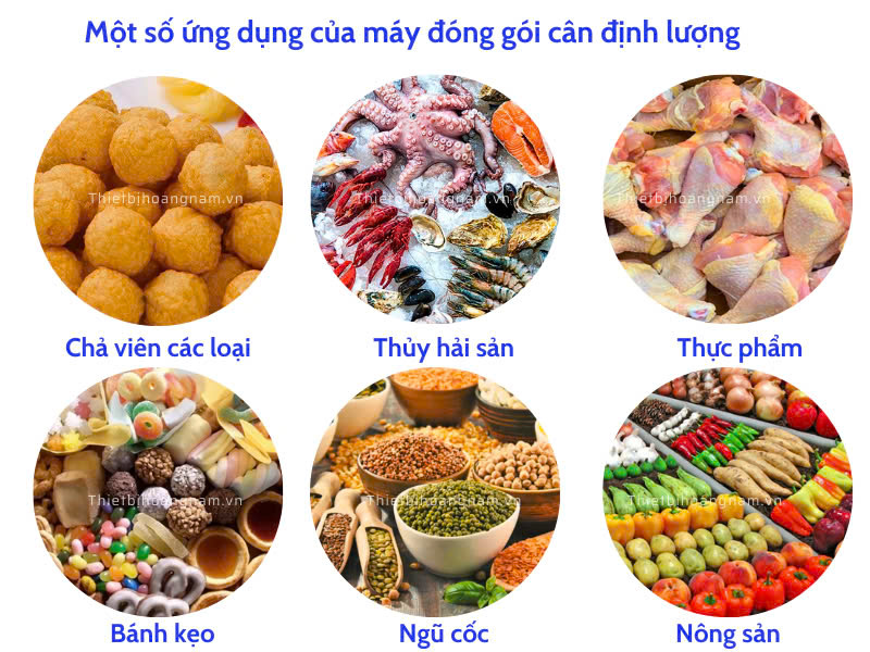 máy đóng gói cân định lượng