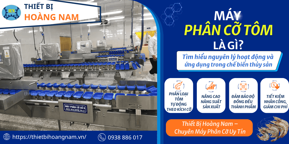 Máy phân cỡ tôm là gì? 02 nguyên lý hoạt động chính của máy phân cỡ tôm và các chuẩn size phổ biến trong ngành thủy sản 1 Máy phân cỡ tôm - Giải pháp hiệu quả cho ngành chế biến hiện đại
